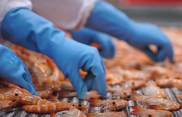 Thu gần 3 tỷ USD trong 8 tháng: 'Báu vật dưới nước' đưa Việt Nam thành 'trùm' xuất khẩu của thế giới, Mỹ - Trung đua nhau săn lùng