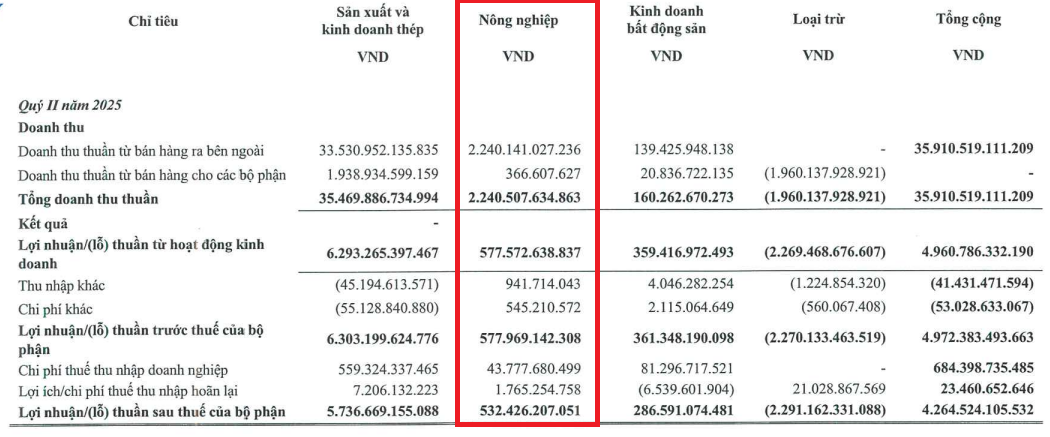 Hòa Phát giảm vốn nghìn tỷ mảng nông nghiệp trước thềm IPO: Điều gì đang diễn ra?