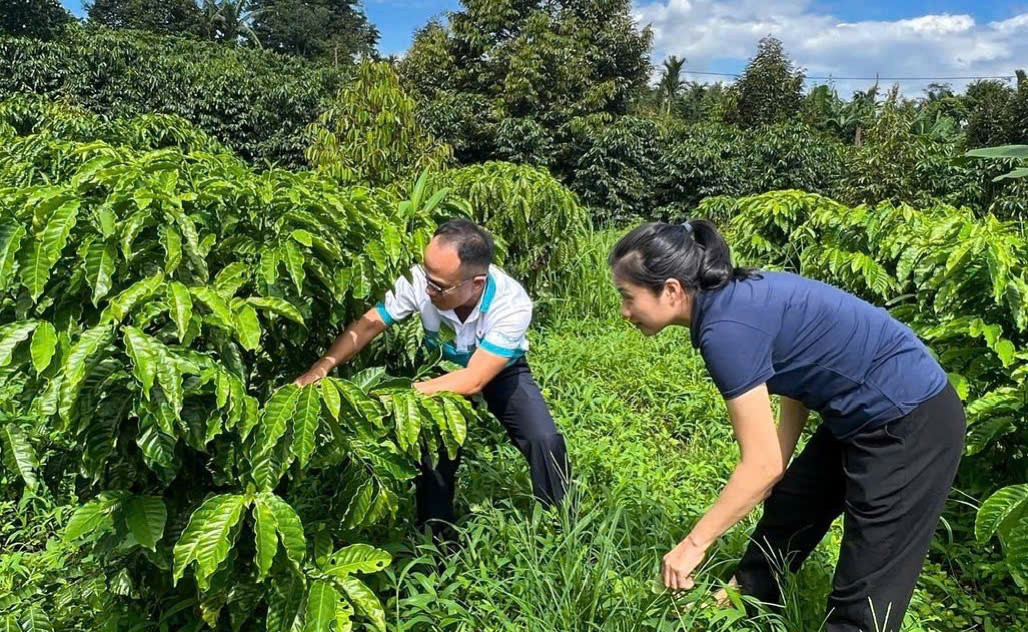 Đạm Phú Mỹ (<a style='text-decoration: none;' href='/DPM'>DPM</a>): 21 năm bền bỉ truyền thống sáng tạo, gắn kết và sẻ chia