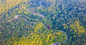 Hơn 2 tháng 4 vụ tai nạn, đèo B40 ở Lâm Đồng xuất hiện nhiều 'điểm đen' giao thông