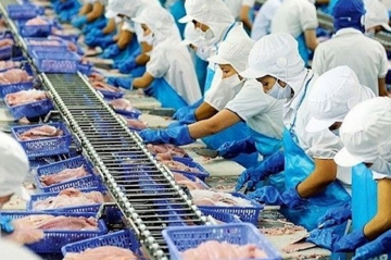 'Vàng dưới nước' vừa mang về cho Việt Nam hơn 7,3 tỷ USD sau 8 tháng: Mỹ - Trung tranh nhau mua, 2 'át chủ bài' lộ diện