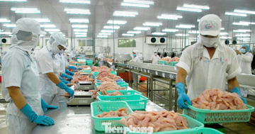 Doanh nghiệp nêu loạt kiến nghị quan trọng trước áp lực thuế Mỹ