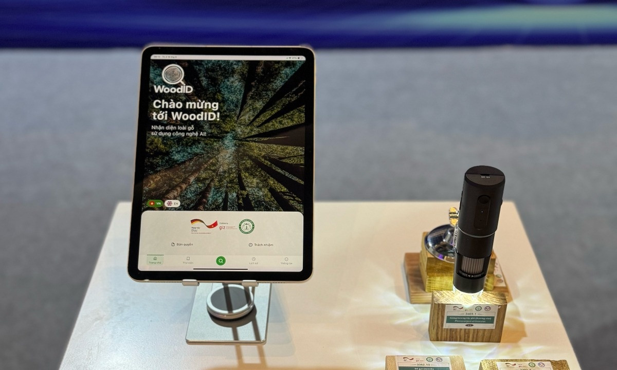 Ứng dụng AI Việt nhận diện gỗ trong chớp mắt, công nghệ khiến gian thương khó thoát