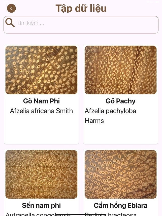 Ứng dụng AI Việt nhận diện gỗ trong chớp mắt, công nghệ khiến gian thương khó thoát