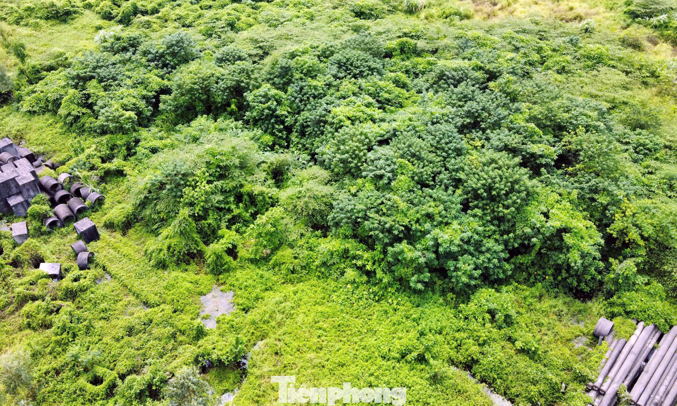 Cỏ dại mọc um tùm, tp-khu-chuc-nang-do-thi-thinh-liet15.jpg