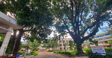 Khu ‘đất vàng’ trên tuyến đường ven biển giá khởi điểm hơn 1.100 tỷ đồng