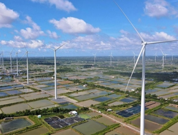 Một doanh nghiệp điện gió báo lỗ trăm tỷ, gánh nợ ngân hàng gấp 18 lần vốn chủ sở hữu