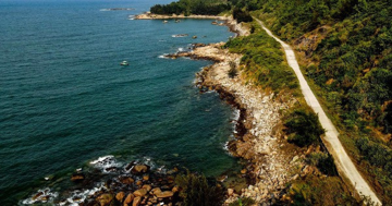 Việt Nam sắp có thêm nhà máy điện gió, quy mô 17.000 tỷ