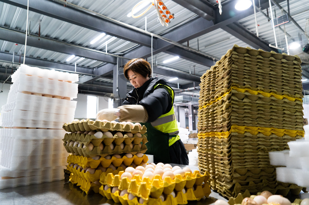 Đội quân 200 triệu lao động thời vụ: Thách thức kinh tế và xã hội chưa từng có ở Trung Quốc - ảnh 2