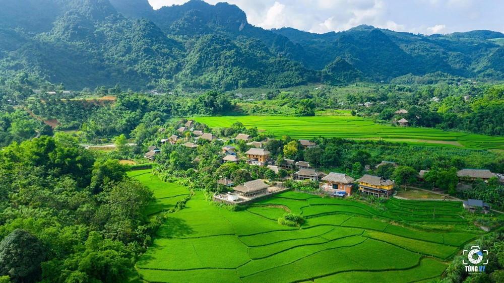 'Mỏ vàng' mang về cho tỉnh có 3 vườn quốc gia 'độc nhất ở miền Bắc' gần 12.000 tỷ đồng - ảnh 1