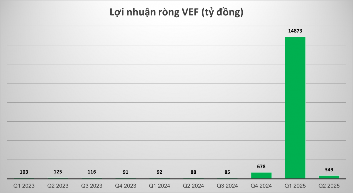 Công ty con nhà Vingroup (<a style='text-decoration: none;' href='/VIC'>VIC</a>) trình phương án trả cổ tức khủng với tỷ lệ 330%