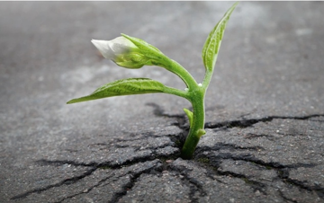 Bước vào giai đoạn tăng trưởng mới, doanh nghiệp năng lượng được ước lãi 512 tỷ, cổ phiếu kỳ vọng tăng 10%