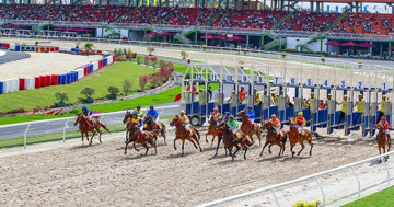 Dự án trường đua ngựa, đua chó tại tỉnh rộng nhất Việt Nam gặp khó