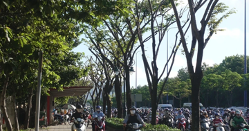 Sắp có làn riêng cho xe đạp ở TPHCM