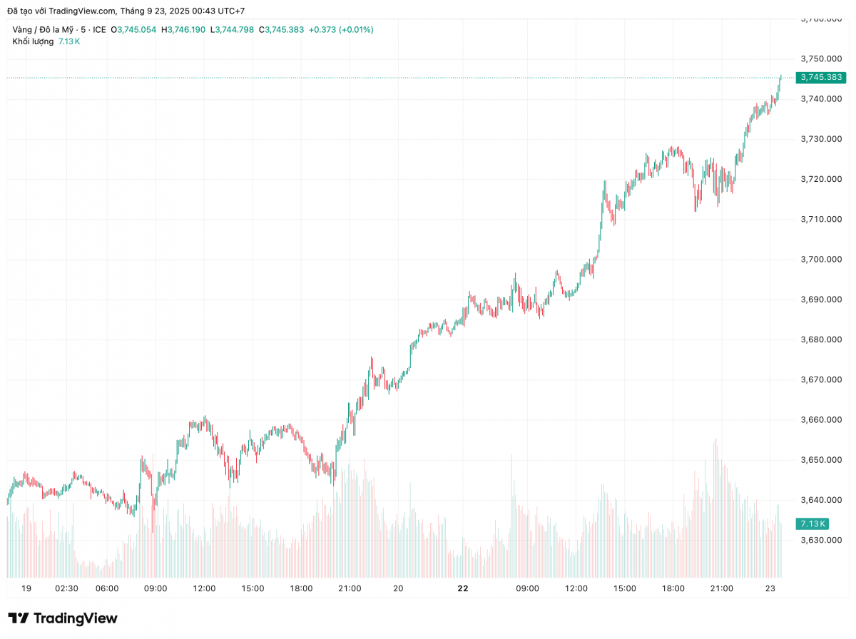 Chuyên gia: Tôi cố tìm lý do để bi quan về vàng, nhưng chưa có kịch bản nào thuyết phục Chuyên gia: Tôi cố tìm lý do để bi quan về vàng, nhưng chưa có kịch bản nào thuyết phục