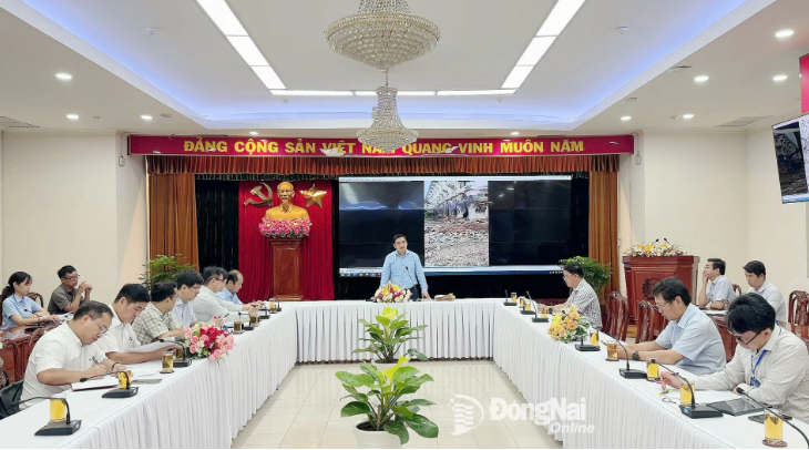 4 doanh nghiệp tại Đồng Nai nhận tối hậu thư của UBND tỉnh- Ảnh 1.