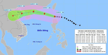Bộ GD&ĐT yêu cầu sẵn sàng phương án học trực tuyến để ứng phó bão số 9