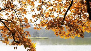 Một thành phố của Việt Nam đứng thứ 5 trong danh sách điểm ngắm lá mùa thu đẹp nhất châu Á