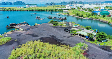 Thông tin về bàn giao đất cho dự án điện khí hơn 2,2 tỷ USD ở Quảng Ninh