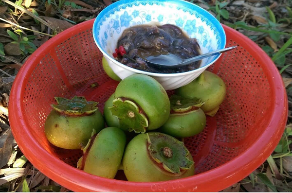 Loại quả mang cái tên nghe thì 'nghèo', xưa bị bỏ quên nay hóa đặc sản, giá 120.000 đồng/kg