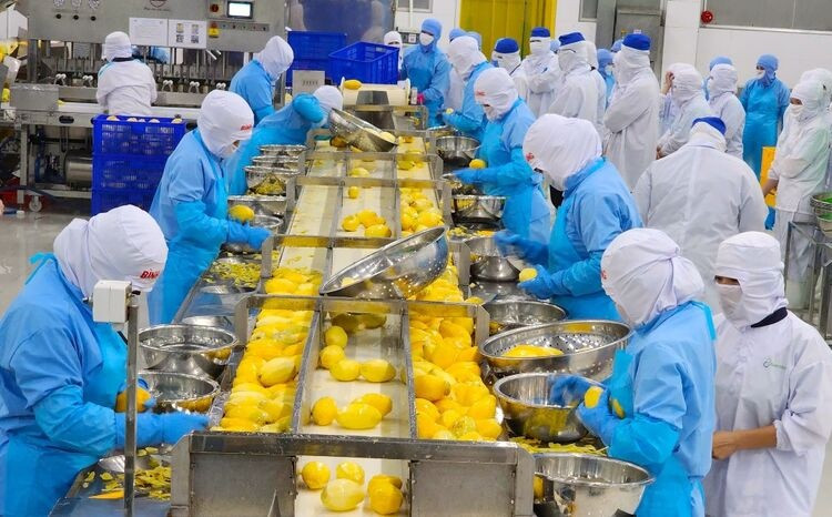 Từng bị coi là rác, một loại vỏ quả Việt Nam nay hóa thành 'mỏ vàng' giúp doanh nghiệp thu tiền tỷ mỗi năm