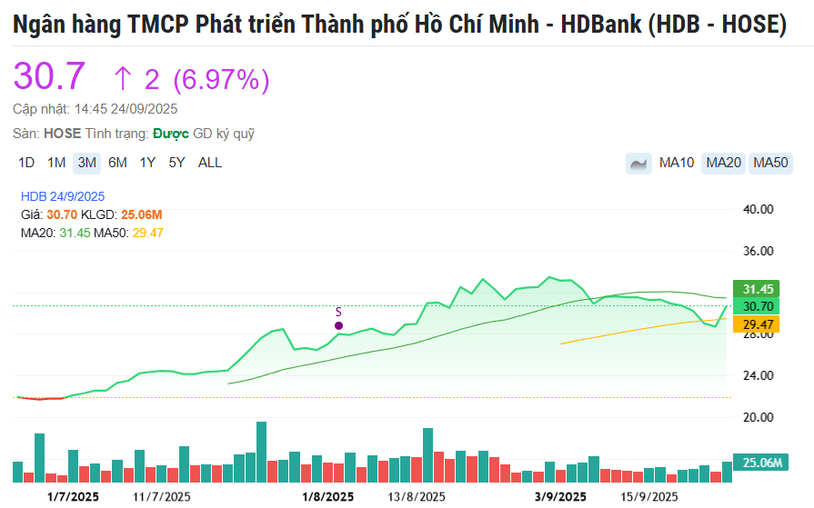 <a style='text-decoration: none;' href='/HDB'>HDB</a> tím lịm, dư mua hàng triệu cổ phiếu sau thông tin tài sản số