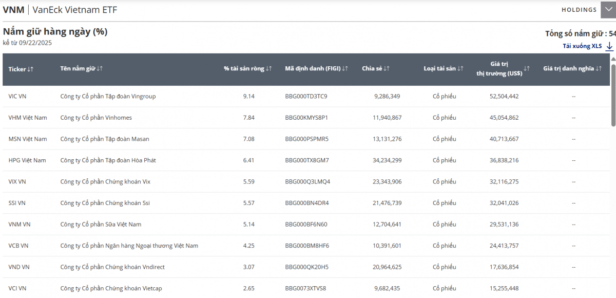 Quỹ đầu tư Mỹ nửa tỷ đô đảo danh mục, gom gần 8 triệu cổ phiếu <a style='text-decoration: none;' href='/HVN'>HVN</a>