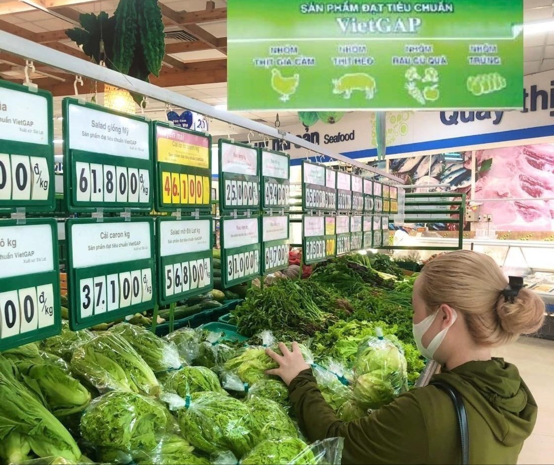 Sản xuất rau của Hà Nội chỉ đáp ứng được 60% nhu cầu của người dân. Ảnh minh họa. anh-11-1663669078689528544567-6896.jpg