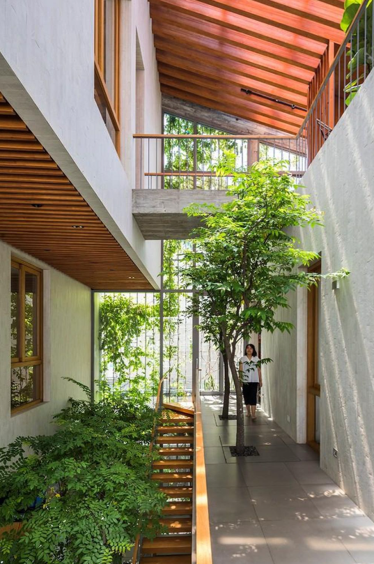 Chiêm ngưỡng ngôi nhà có ‘khu rừng nhiệt đới’ tại Việt Nam từng 4 lần đạt giải thưởng quốc tế- Ảnh 2.