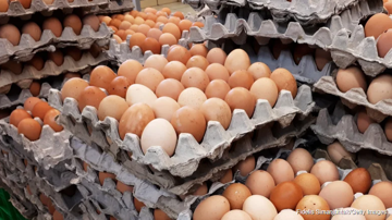 Siêu cường châu Á sản xuất trứng nhiều nhất thế giới, gấp hơn 5 lần Mỹ là nước nào?