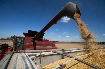 Trung Quốc ‘chốt kèo’ lớn, nông dân Mỹ mất trắng mùa vàng