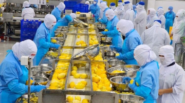 Từng bị coi là rác, một loại vỏ quả Việt Nam nay hóa thành 'mỏ vàng' giúp doanh nghiệp thu tiền tỷ mỗi năm