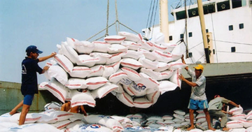 Vì sao kim ngạch xuất nhập khẩu nông sản Việt Nam - Ai Cập chưa đến 50 triệu USD?