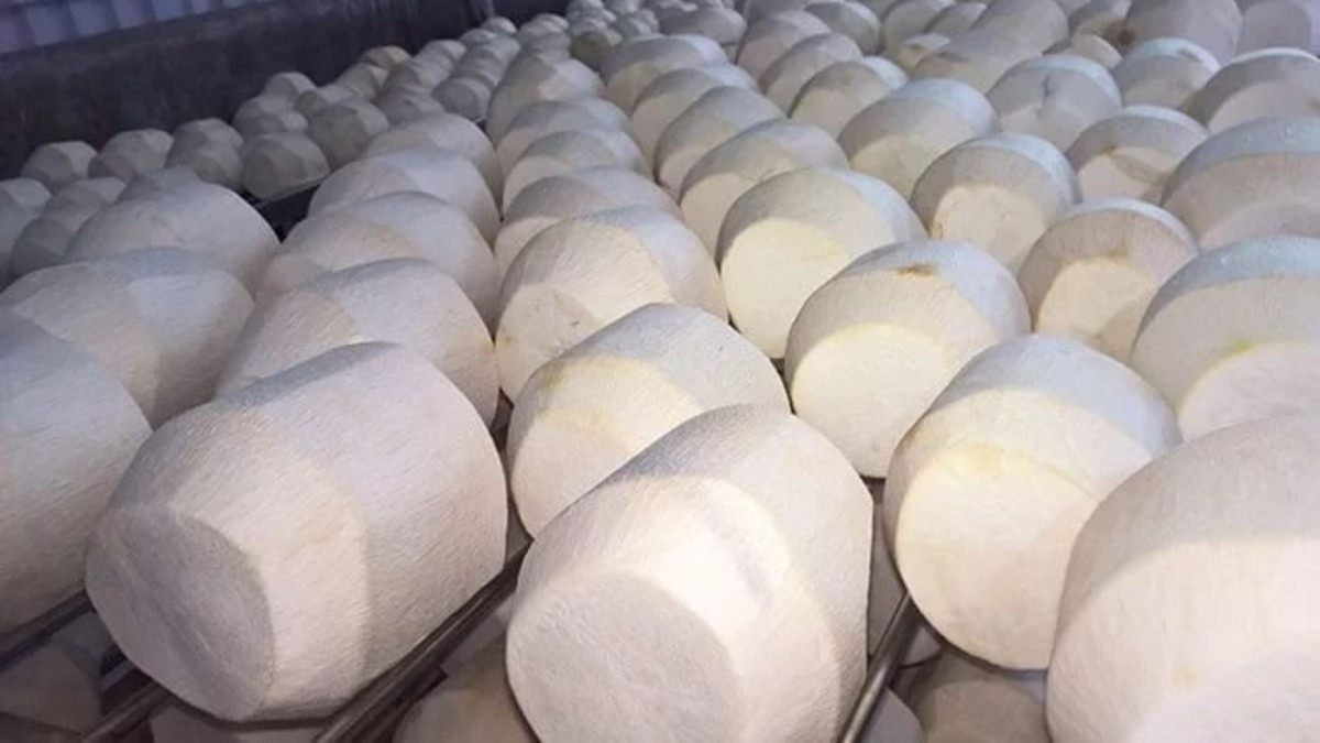 Vượt Trung Quốc, Mỹ chi hơn 2.100 tỷ để nhập một 'sản vật' của Việt Nam, hơn 40 quốc gia tranh nhau đặt hàng