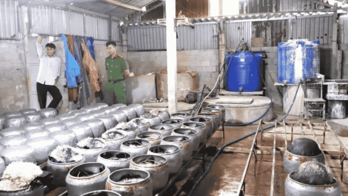Phát hiện cơ sở dùng 'nước kẹo' để sản xuất gần 5 tạ giá đỗ bán ra thị trường Phát hiện cơ sở dùng 'nước kẹo' để sản xuất gần 5 tạ giá đỗ bán ra thị trường