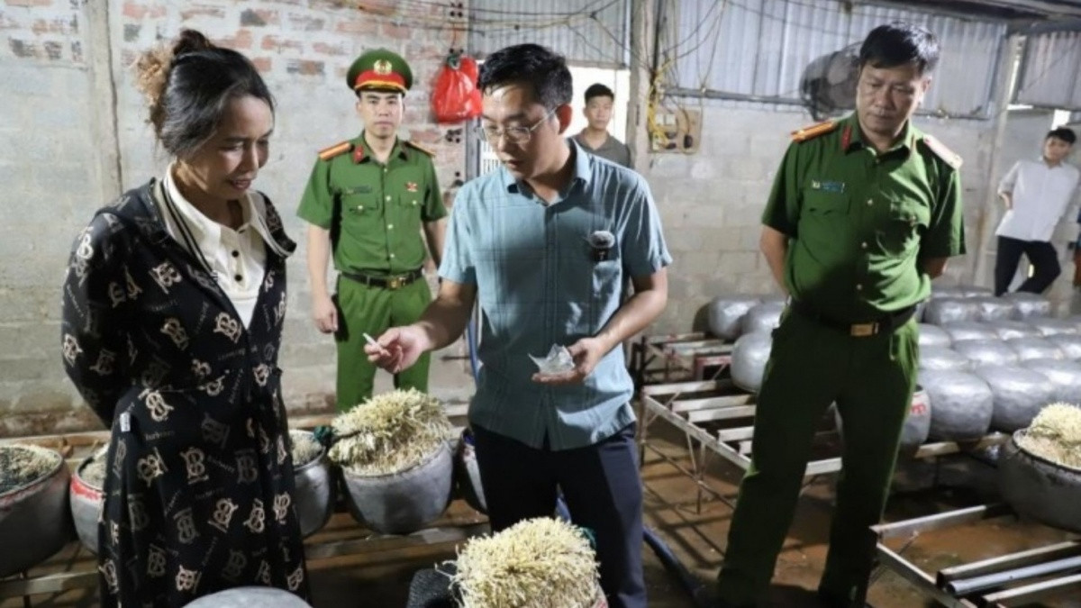 Phát hiện cơ sở dùng 'nước kẹo' để sản xuất gần 5 tạ giá đỗ bán ra thị trường Phát hiện cơ sở dùng 'nước kẹo' để sản xuất gần 5 tạ giá đỗ bán ra thị trường