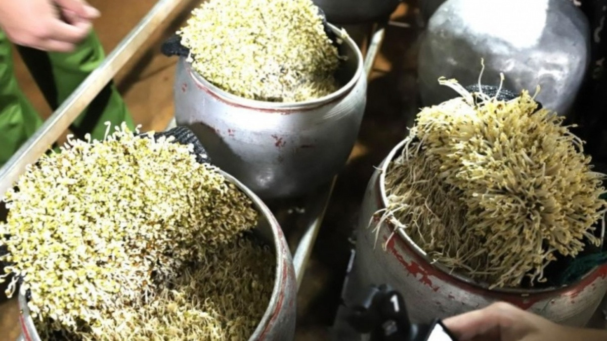 Phát hiện cơ sở dùng 'nước kẹo' để sản xuất gần 5 tạ giá đỗ bán ra thị trường Phát hiện cơ sở dùng 'nước kẹo' để sản xuất gần 5 tạ giá đỗ bán ra thị trường