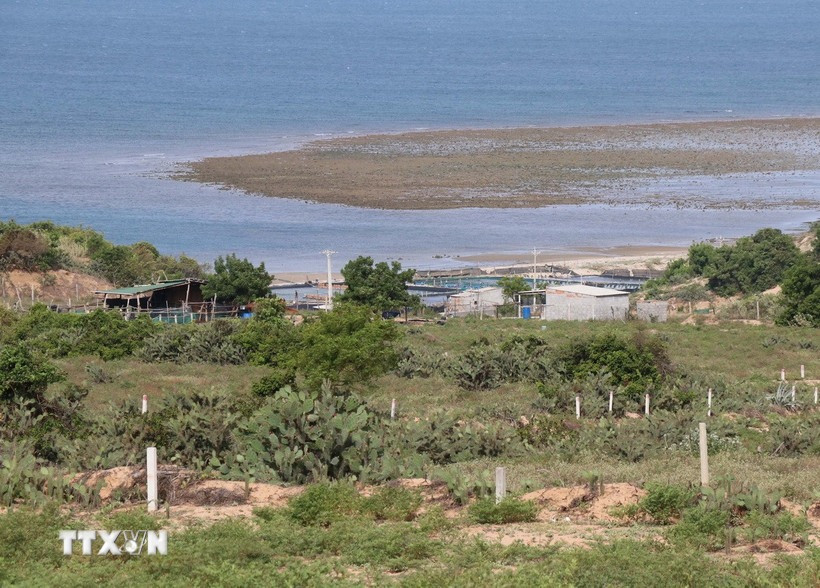 Dự án điện hạt nhân đầu tiên của Việt Nam cố gắng gỡ khó trong năm 2025- Ảnh 2.