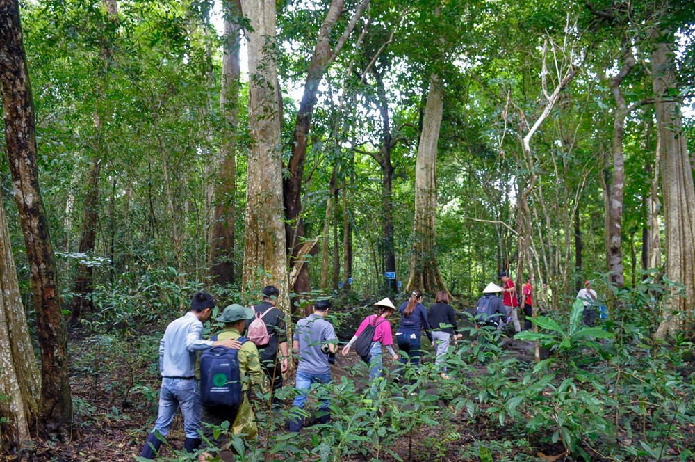 Tạp chí du lịch nước ngoài gợi ý 8 cung đường trekking khám phá vùng nông thôn Việt Nam - ảnh 6