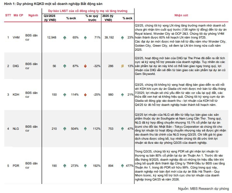 Lãi doanh nghiệp BĐS tăng đột biến từ chuyển nhượng, lộ diện 'sóng' mở bán mới- Ảnh 1.