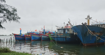 Bộ Ngoại giao thông tin về việc Mỹ từ chối công nhận 12 nghề khai thác hải sản của Việt Nam