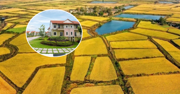 Từ nay, chuyển một phần đất nông nghiệp thành đất ở cần đáp ứng điều kiện này