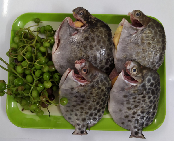 Loại quả mọc dại bờ rào xưa không ai màng, giờ đặc sản 'cháy hàng' ở thành phố, giá 80.000 đồng/kg