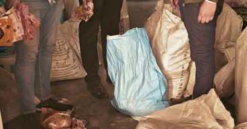 Đột kích một nhà máy, triệt phá đường dây dùng muối để ướp xác động vật thay cho muối tinh luyện để tuồn ra thị trường