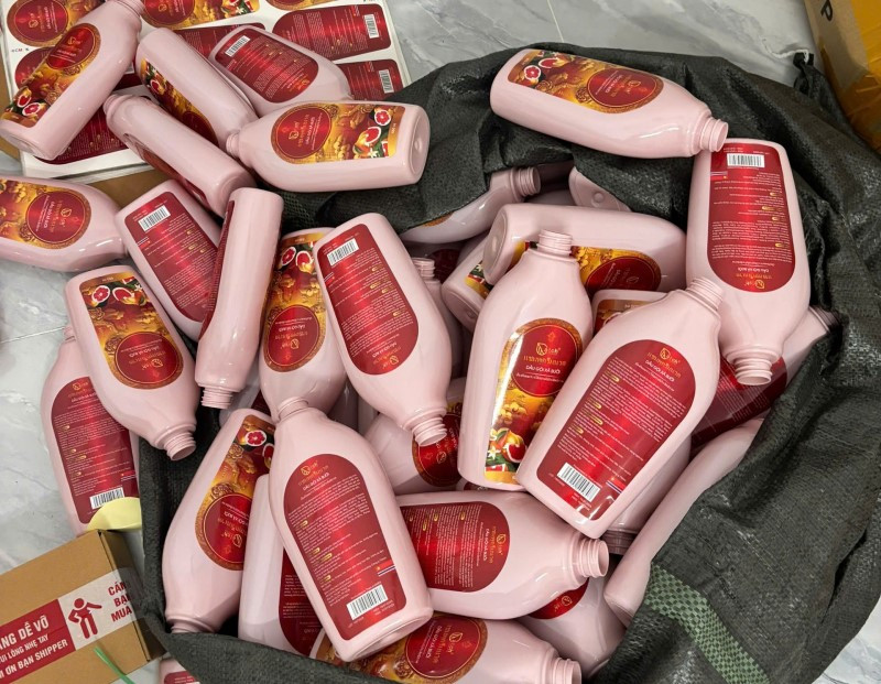 Khởi tố, cấm đi khỏi nơi cư trú với Nguyễn Thị Loan và 2 người - ảnh 2