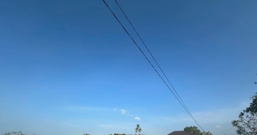 “Cò đất” lặng lẽ rời đi sau khi đổ về vùng quê khiến đất "sốt" lên từng ngày