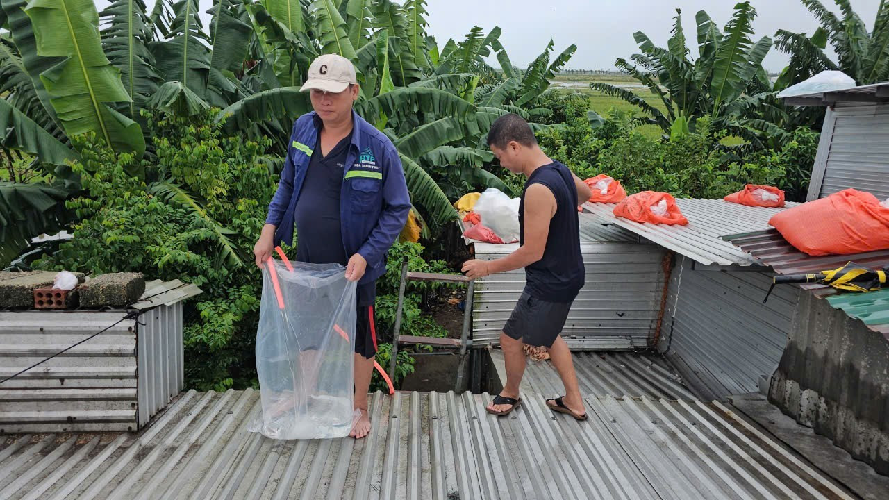 Túi ni lông và ống dẫn nước được đưa lên mái nhà một cách dễ dàng, thuận tiện hơn việc khuân vác bao cát, bờ lô giằng giữ tấm lợp. img-1758959500304-1758961084936.jpg