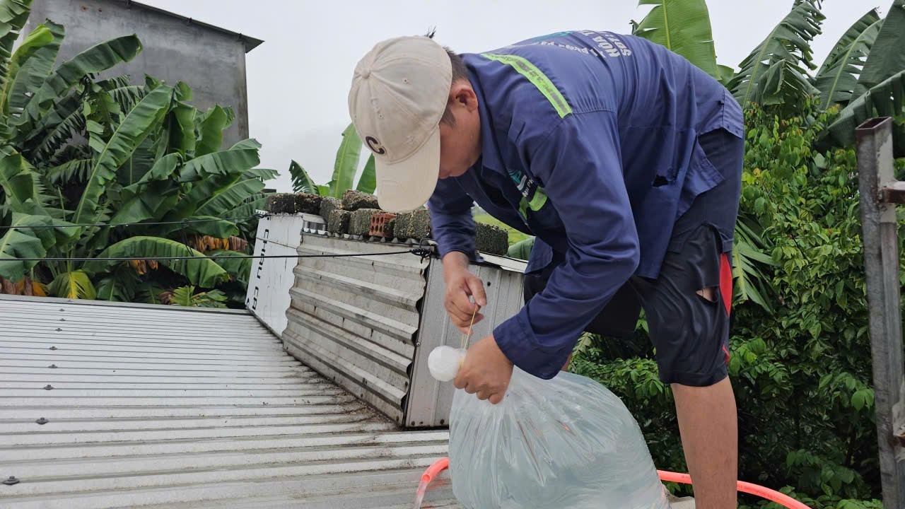 Người dân đưa nước lên mái nhà, bơm vào túi nhựa để làm vật giằng giữ bảo vệ tấm lợp. img-1758959500544-1758961085463.jpg