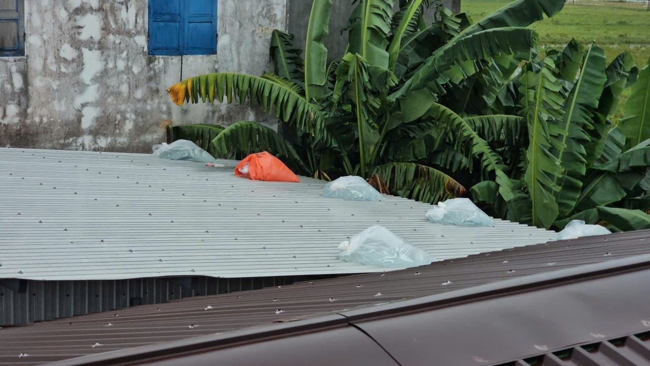 Những túi nước này thay thế bao cát giằng giữ mái nhà được sử dụng trước đây. img-1758959500433-1758961085226.jpg