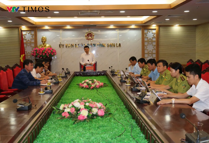 Cao tốc gần 15.000 tỷ của Tây Bắc, sở hữu cây cầu có nhịp dây văng dài nhất Việt Nam tăng tốc hoàn thành- Ảnh 2.